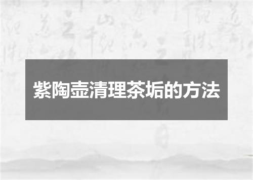 紫陶壶清理茶垢的方法