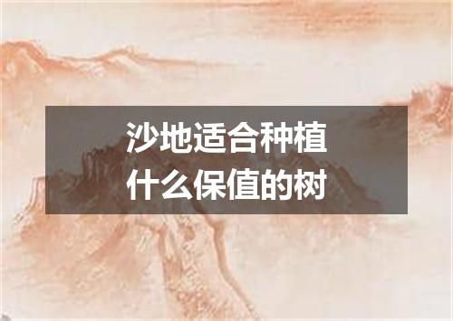 沙地适合种植什么保值的树