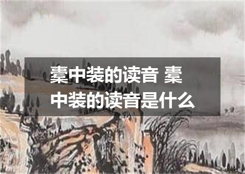 橐中装的读音 橐中装的读音是什么