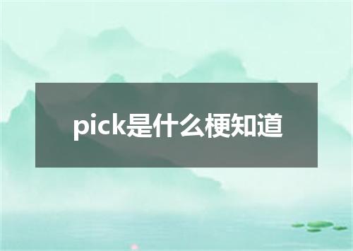 pick是什么梗知道