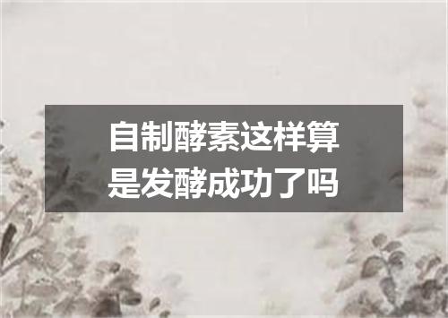 自制酵素这样算是发酵成功了吗