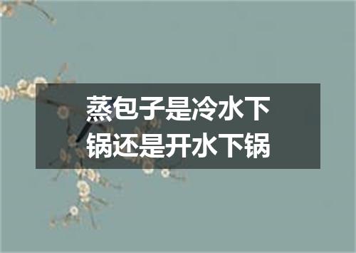 蒸包子是冷水下锅还是开水下锅