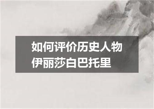 如何评价历史人物伊丽莎白巴托里