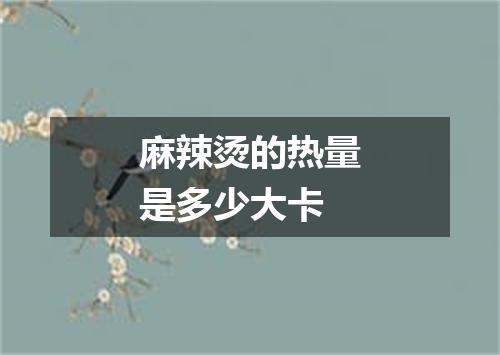 麻辣烫的热量是多少大卡