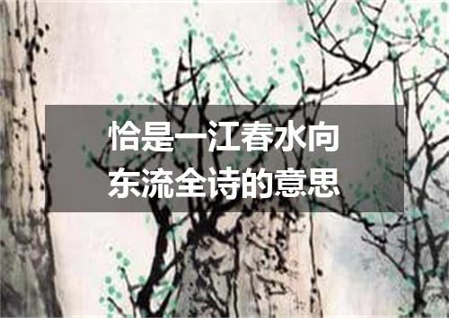 恰是一江春水向东流全诗的意思