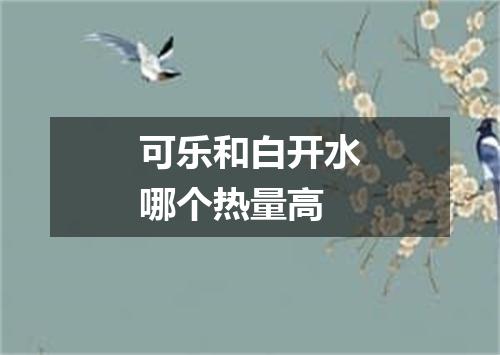 可乐和白开水哪个热量高