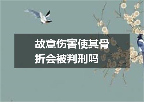 故意伤害使其骨折会被判刑吗