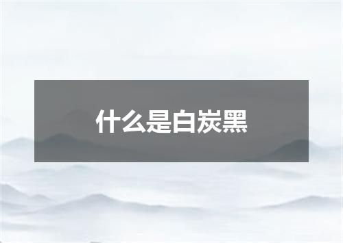 什么是白炭黑