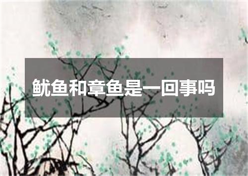 鱿鱼和章鱼是一回事吗