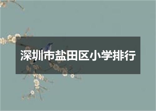 深圳市盐田区小学排行