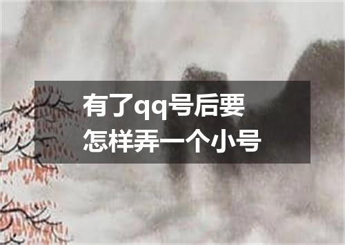 有了qq号后要怎样弄一个小号