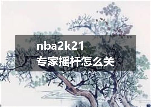 nba2k21专家摇杆怎么关