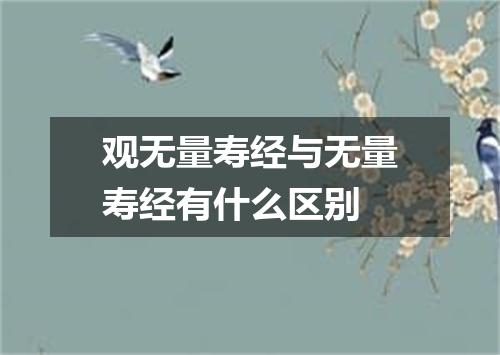 观无量寿经与无量寿经有什么区别