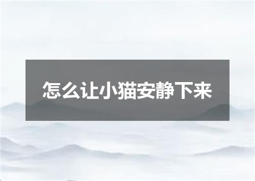 怎么让小猫安静下来