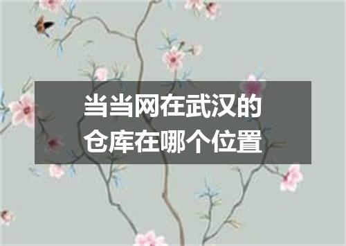 当当网在武汉的仓库在哪个位置
