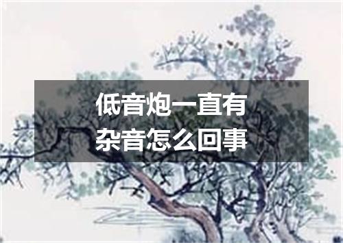 低音炮一直有杂音怎么回事