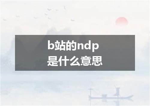 b站的ndp是什么意思