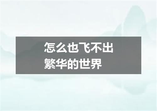 怎么也飞不出繁华的世界