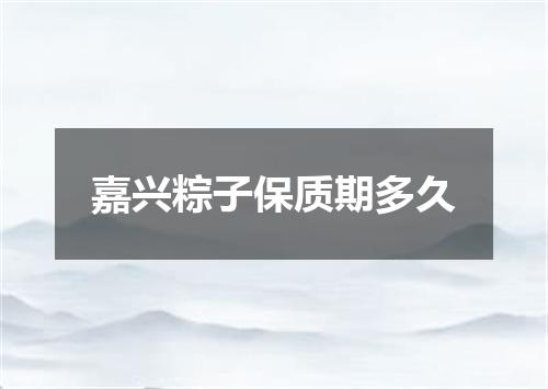 嘉兴粽子保质期多久