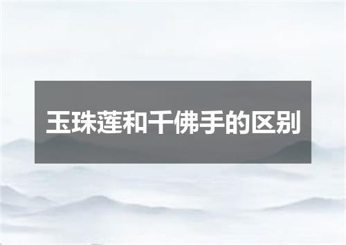 玉珠莲和千佛手的区别