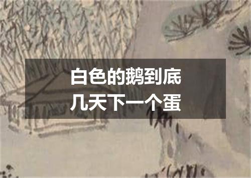 白色的鹅到底几天下一个蛋