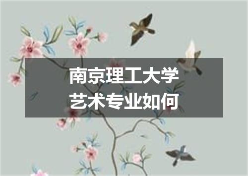 南京理工大学艺术专业如何