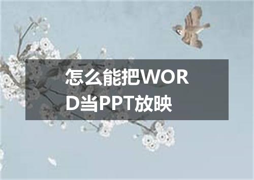 怎么能把WORD当PPT放映