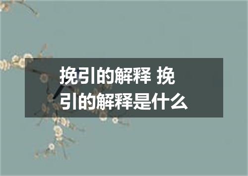 挽引的解释 挽引的解释是什么