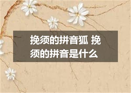 挽须的拼音狐 挽须的拼音是什么