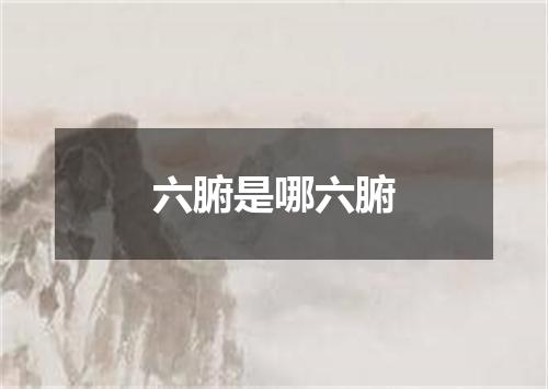 六腑是哪六腑
