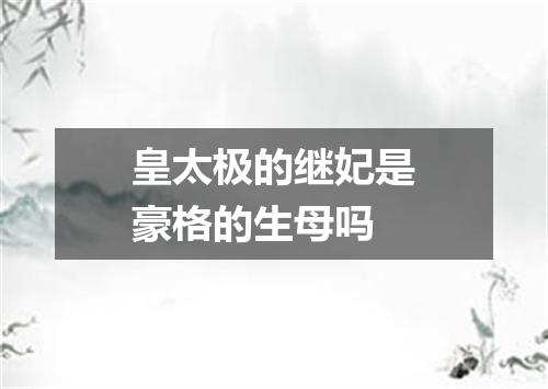 皇太极的继妃是豪格的生母吗