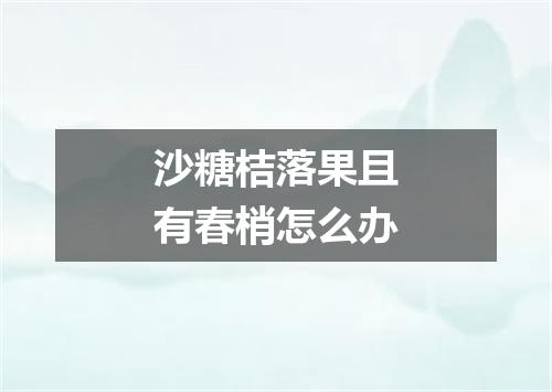沙糖桔落果且有春梢怎么办