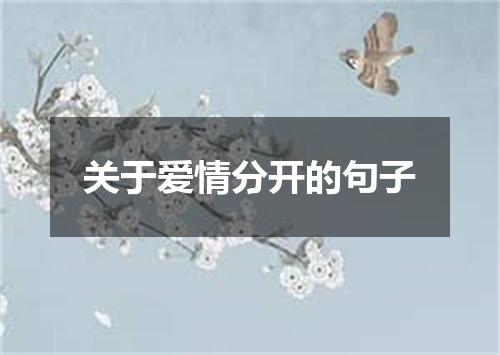 关于爱情分开的句子