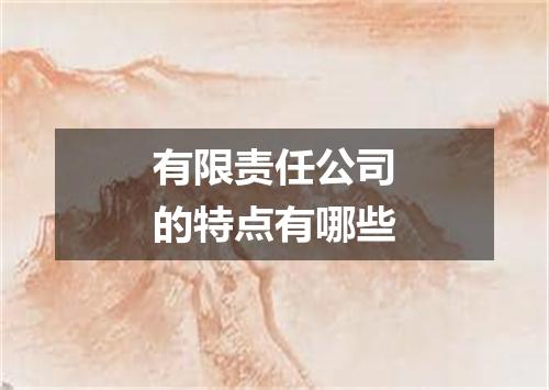 有限责任公司的特点有哪些