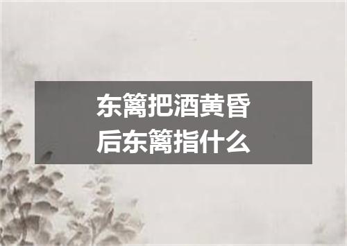 东篱把酒黄昏后东篱指什么