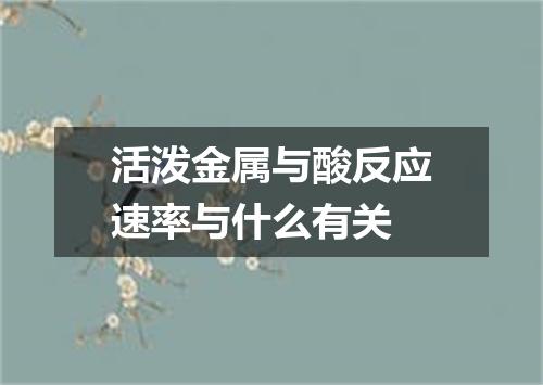活泼金属与酸反应速率与什么有关