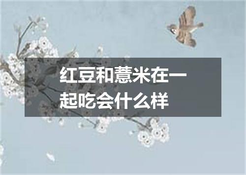 红豆和薏米在一起吃会什么样