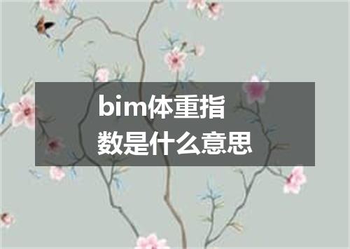 bim体重指数是什么意思
