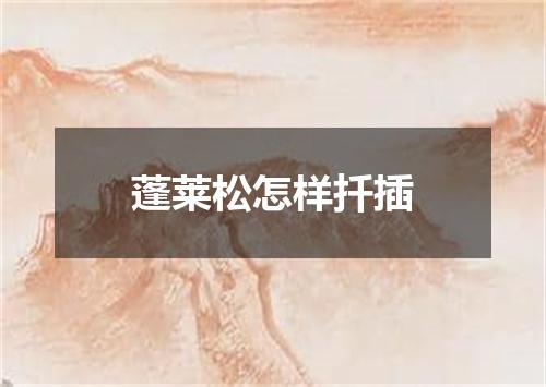 蓬莱松怎样扦插