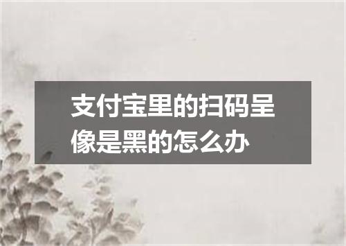 支付宝里的扫码呈像是黑的怎么办