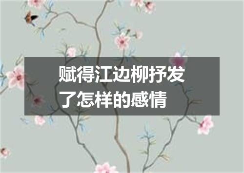 赋得江边柳抒发了怎样的感情