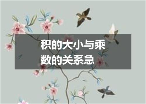 积的大小与乘数的关系急