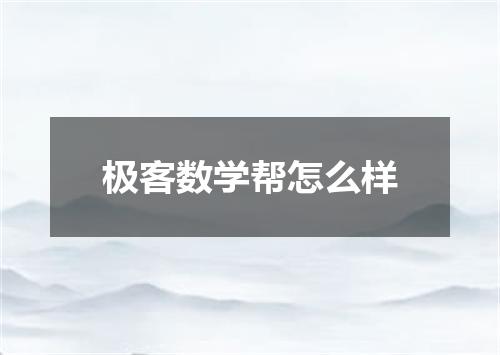 极客数学帮怎么样