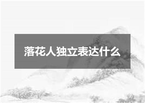 落花人独立表达什么