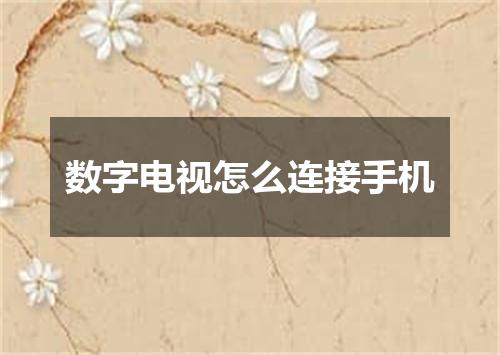 数字电视怎么连接手机