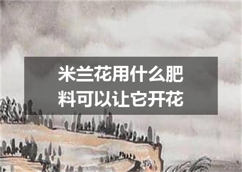 米兰花用什么肥料可以让它开花