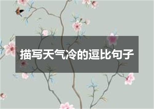 描写天气冷的逗比句子