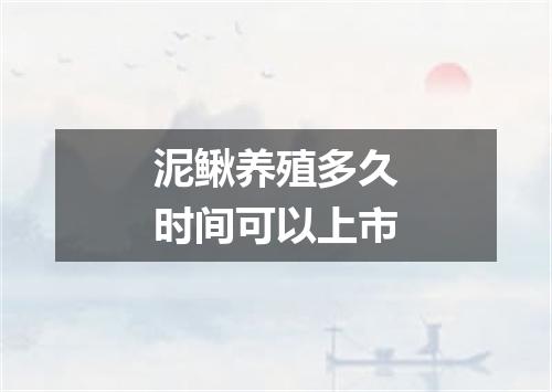 泥鳅养殖多久时间可以上市