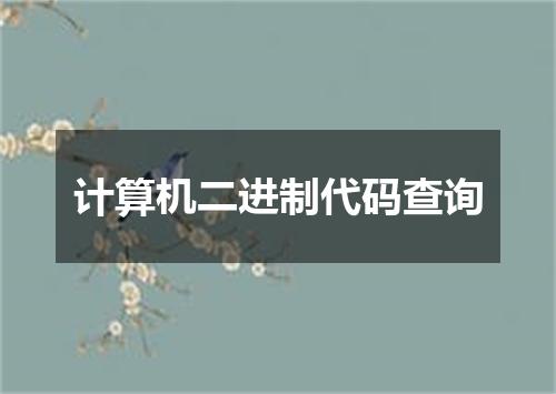计算机二进制代码查询