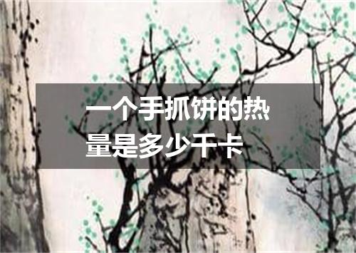 一个手抓饼的热量是多少千卡